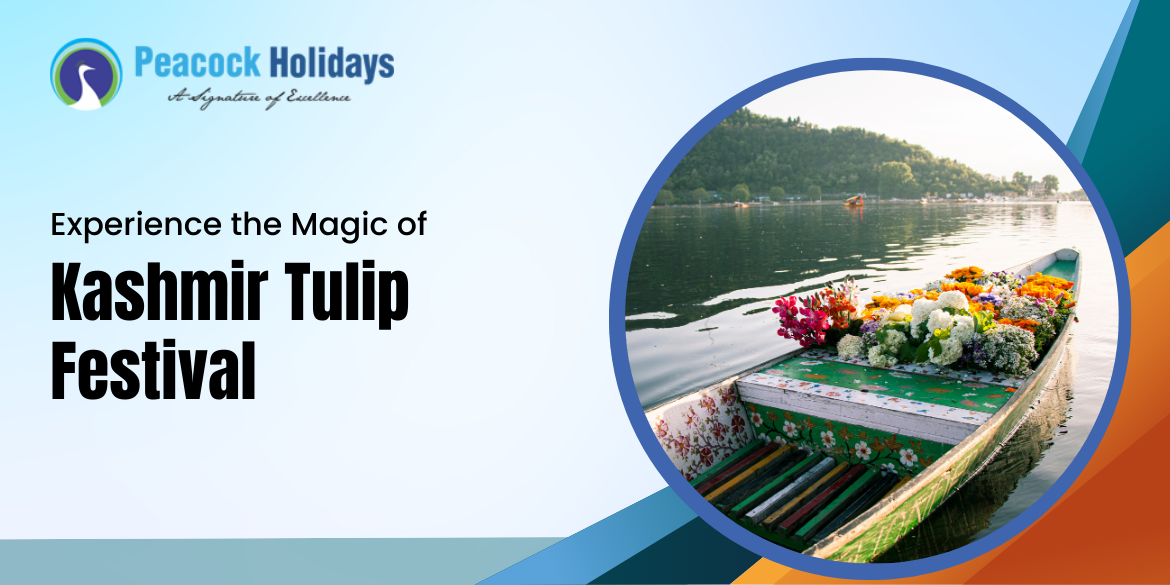 Experience the Magic of Kashmir Tulip Festival