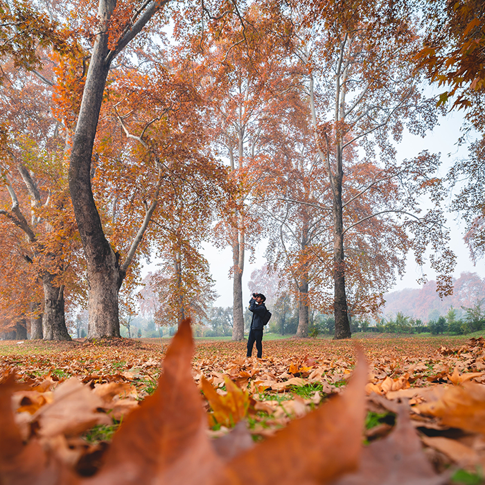 Discover Kashmir with Peacock Holidays