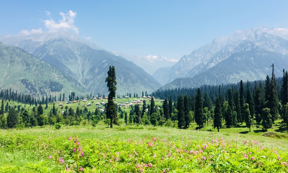 Kashmir Tour