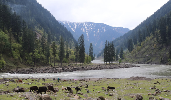 6 Days Kashmir Tour Package
