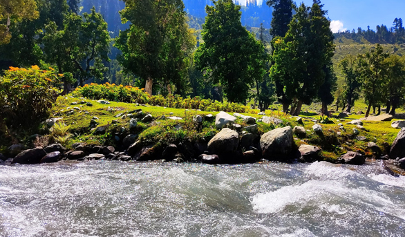  Gulmarg  Winter Special Tour
