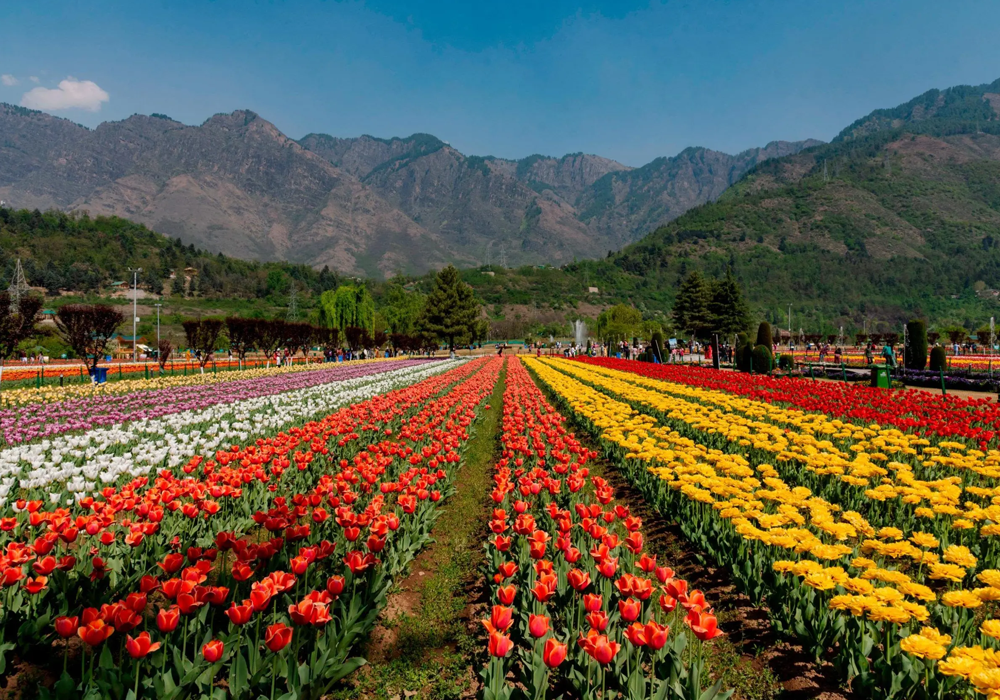 Kashmir Holiday Packages